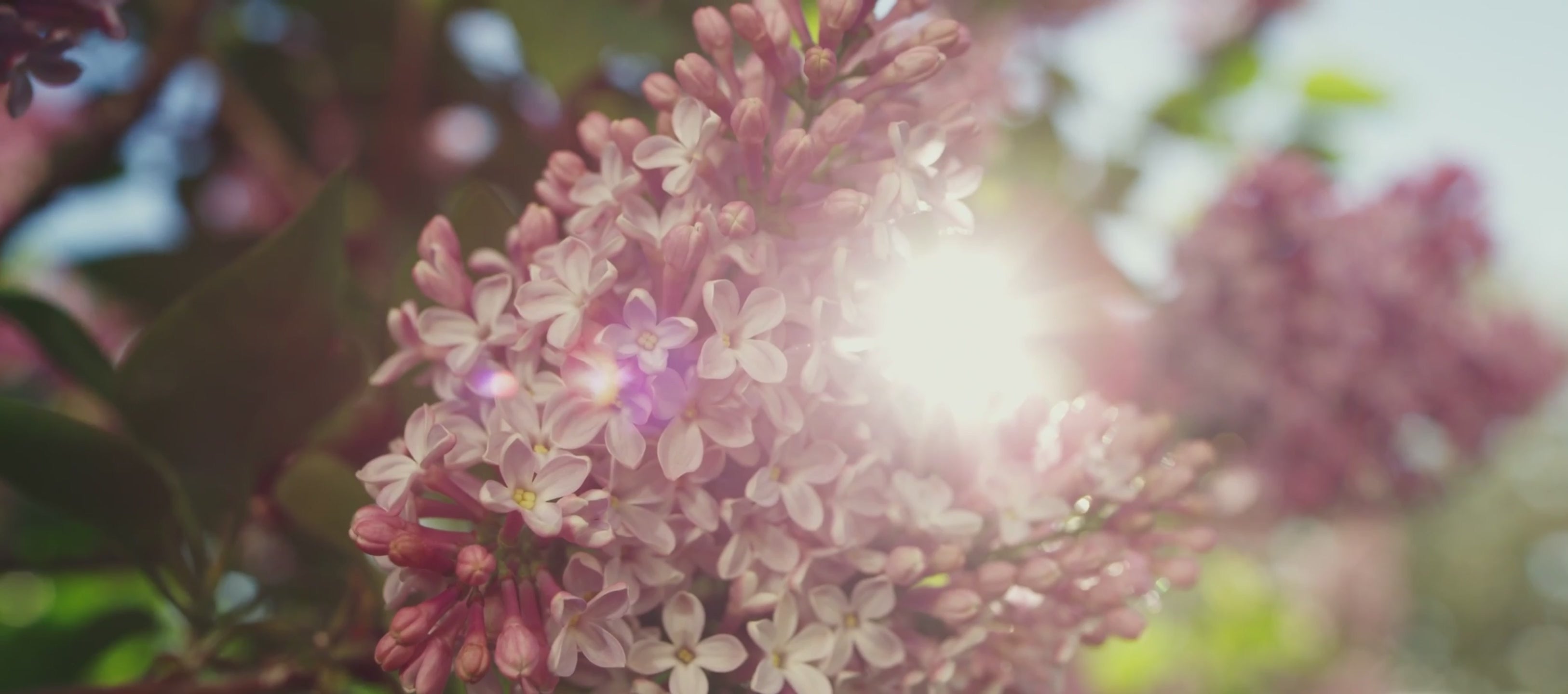 Video laden: Mer än bara underkläder.En känsla. En attityd. En hyllning till dig.